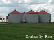 /art/CEA-14-Agriculture.jpg
