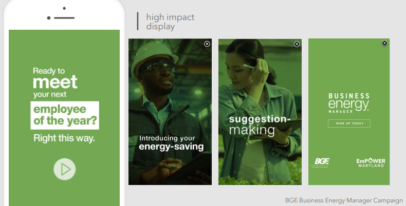 A screenshot of BGE's BEM program