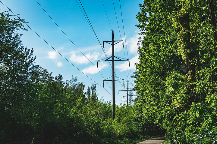 Trees and powerlines