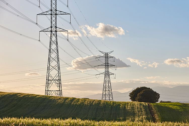 Power lines in field