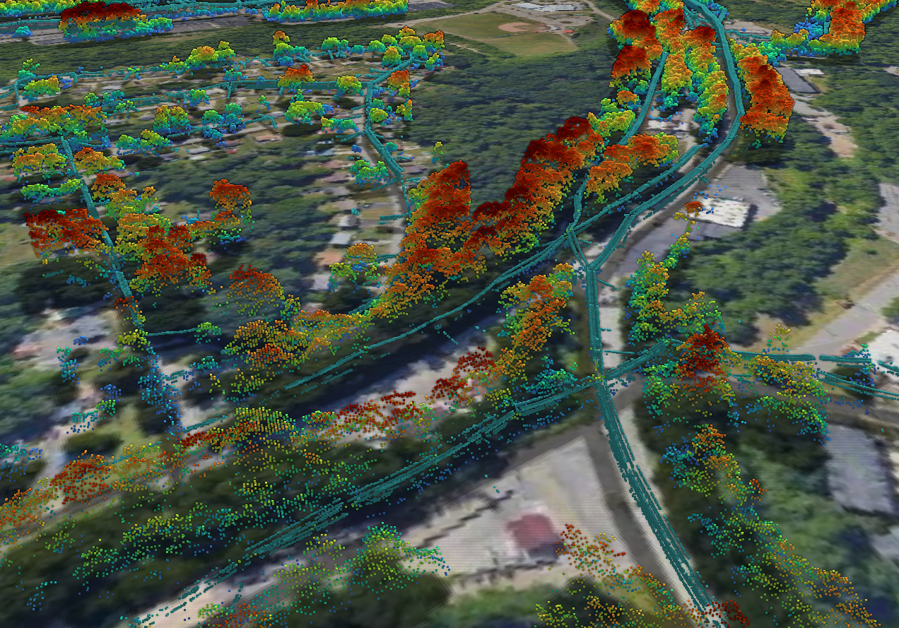 Lidar image of trees with overlay