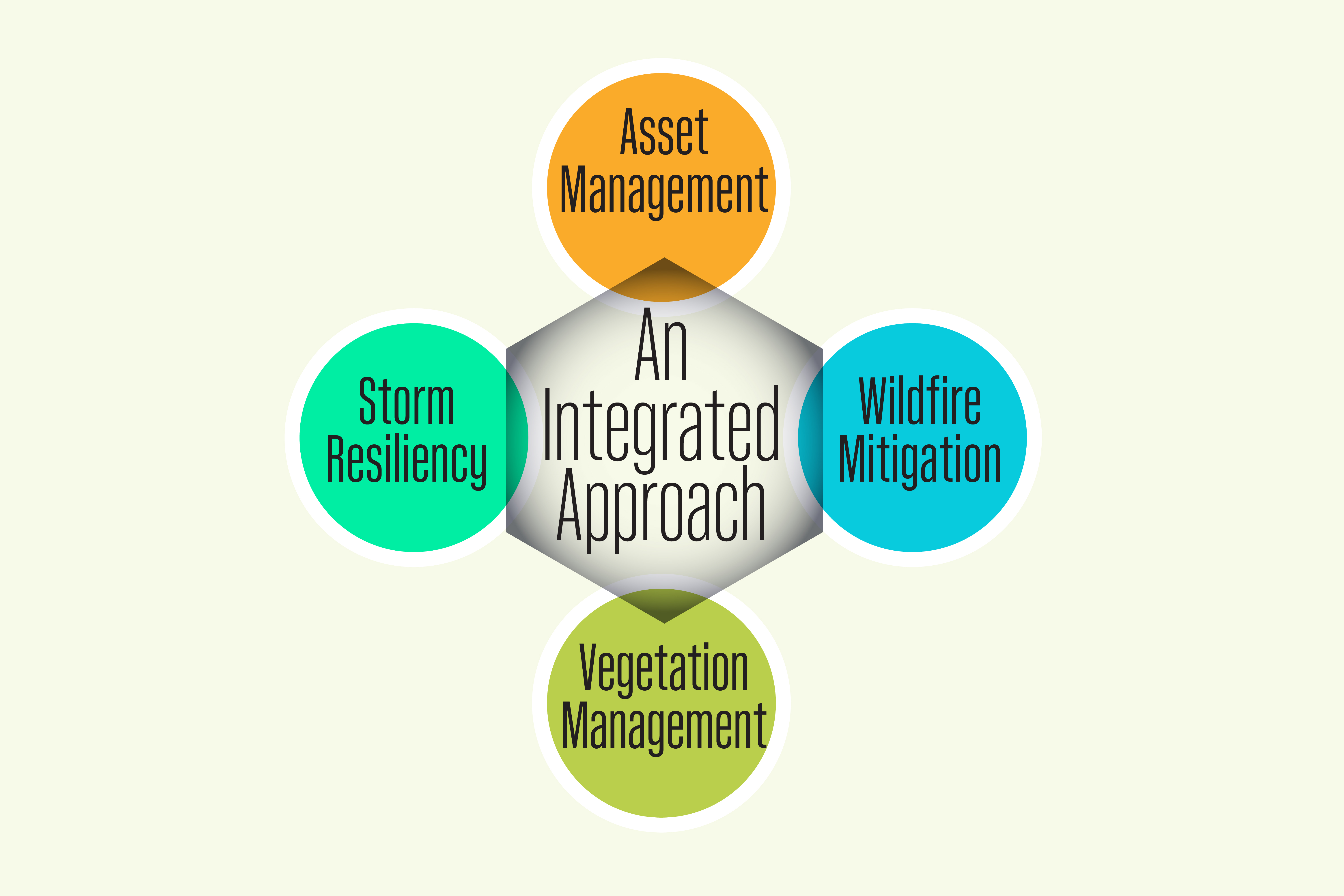 Image showing integrated approach