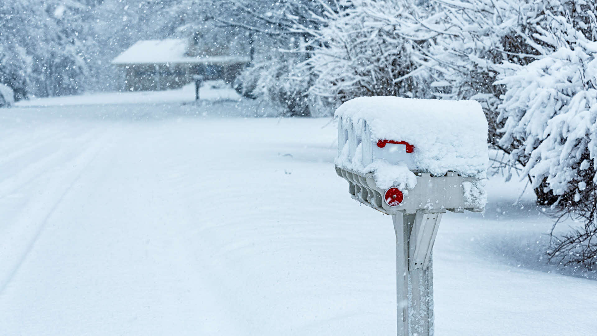 Mailbox covered in snow on a snowy roadside