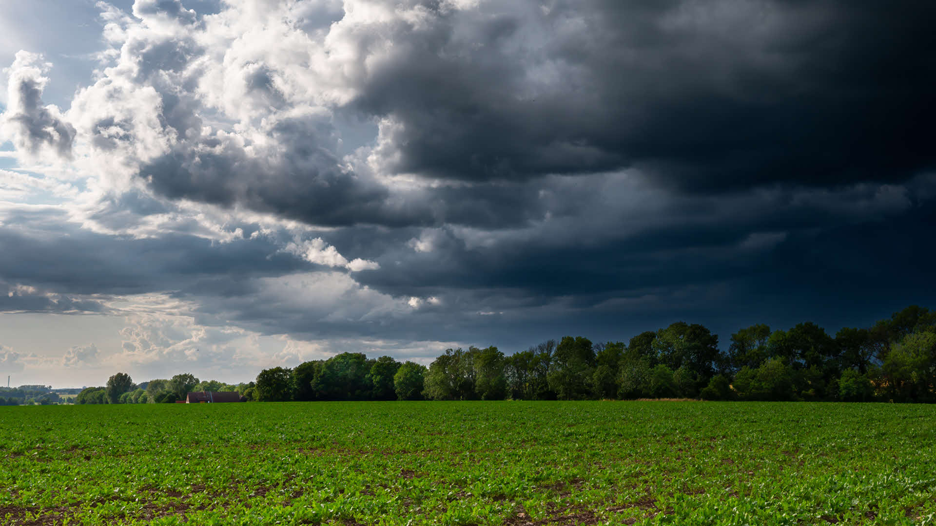 Green field with trees under dark storm clouds