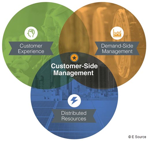 Venn diagram of Customer-Side Management, including customer experience, distributed resources, and demand-side managment width: 147px; height: 208px;