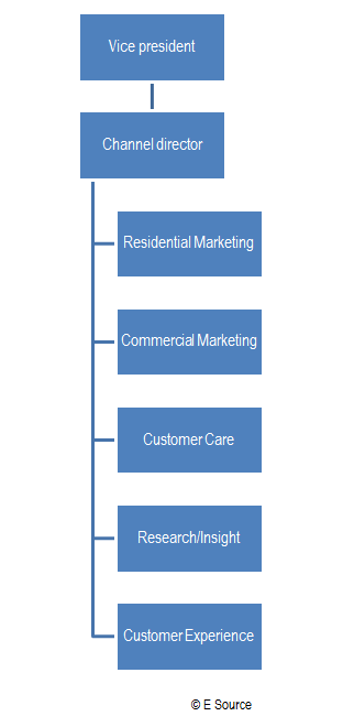 Customer Experience reports to a channel director