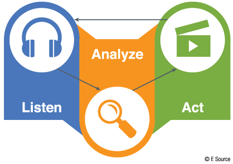 voice of the customer