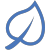 Icon of a leaf