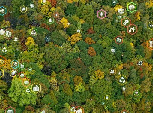 Aerial view of a dense forest in autumn with trees displaying green, yellow, and orange foliage.