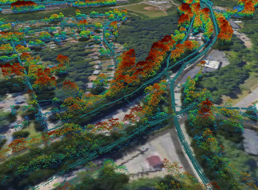 Lidar image of trees with overlay