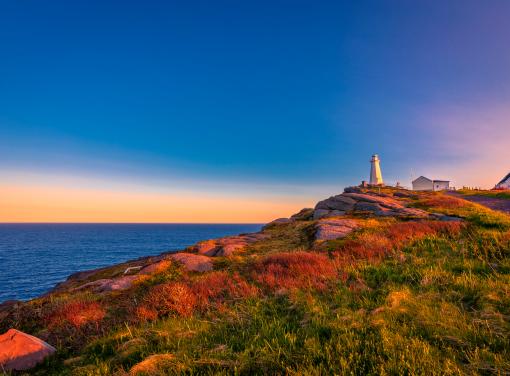 Newfoundland Coastline