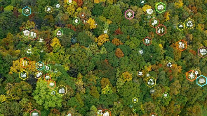 A Northeastern utility implements a data-driven vegetation management solution