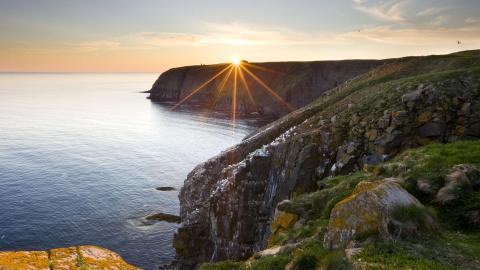 Defining an ideal program strategy for portfolio optimization