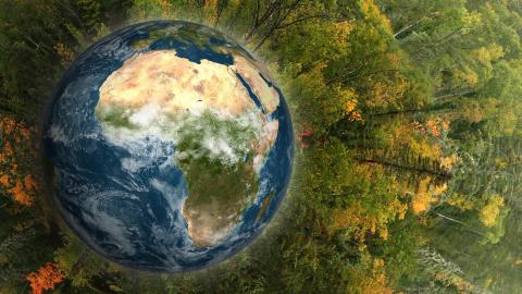 The equitable utility: What it means and how executives are getting there