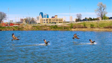 Procuring a reliable network-as-a-service vendor to support an AMI implementation