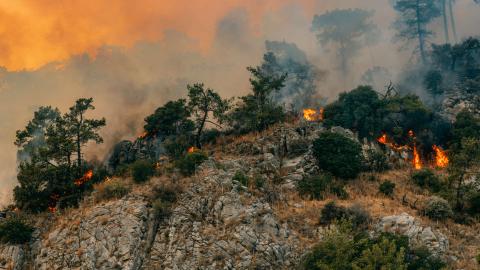 How Arizona Public Service improves wildfire response through collaboration