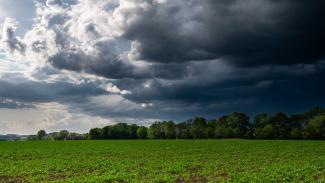 Green field with trees under dark storm clouds